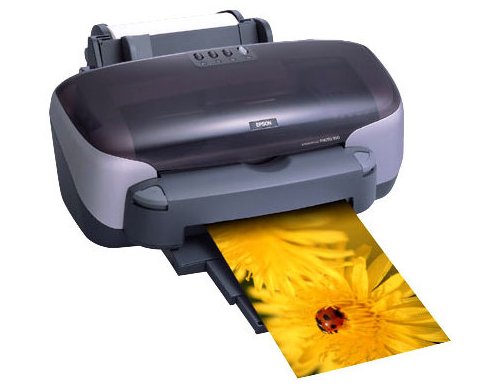 Принтер для печати фотографий - тонкости выбора фотопринтера