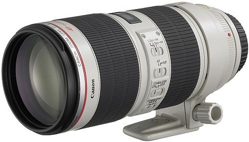 Три к одному: зум-объективы для Canon EOS Mark III
