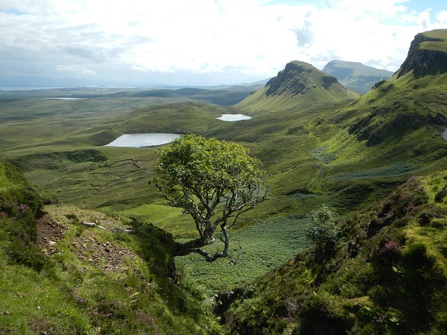 Шотландский пейзаж