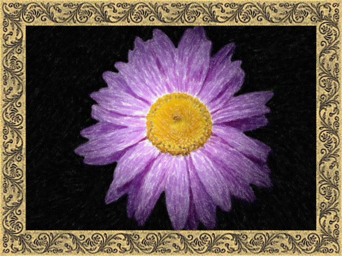 AKVIS Pastel 3.0 - картины из фотографий в технике пастели