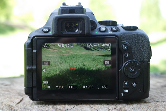 Обзор Nikon D5600