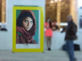 Афганская девочка, Стив МакКарри, Фотовыставка