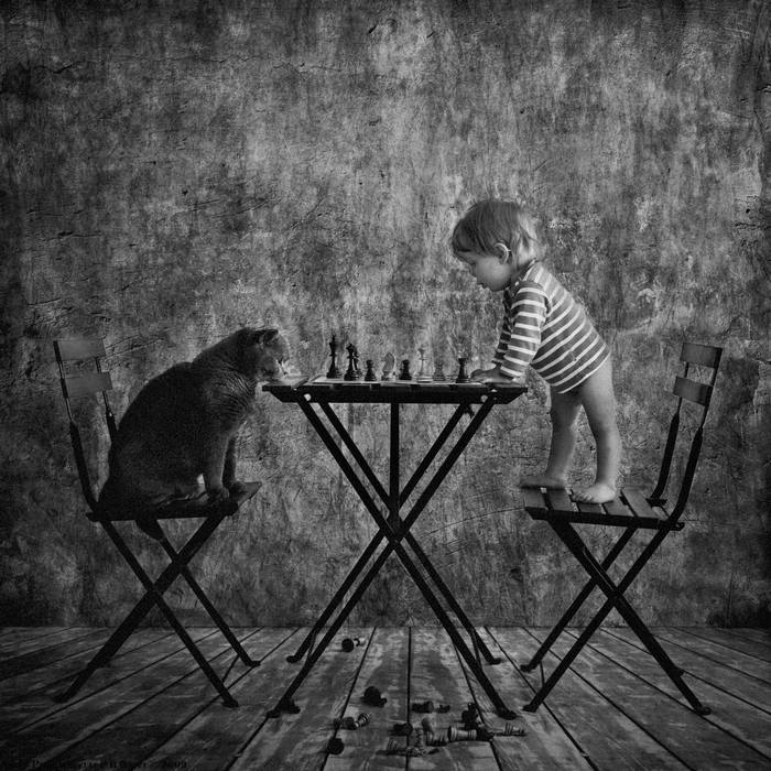 Маленькая девочка и кот Том. Андрей Прохоров